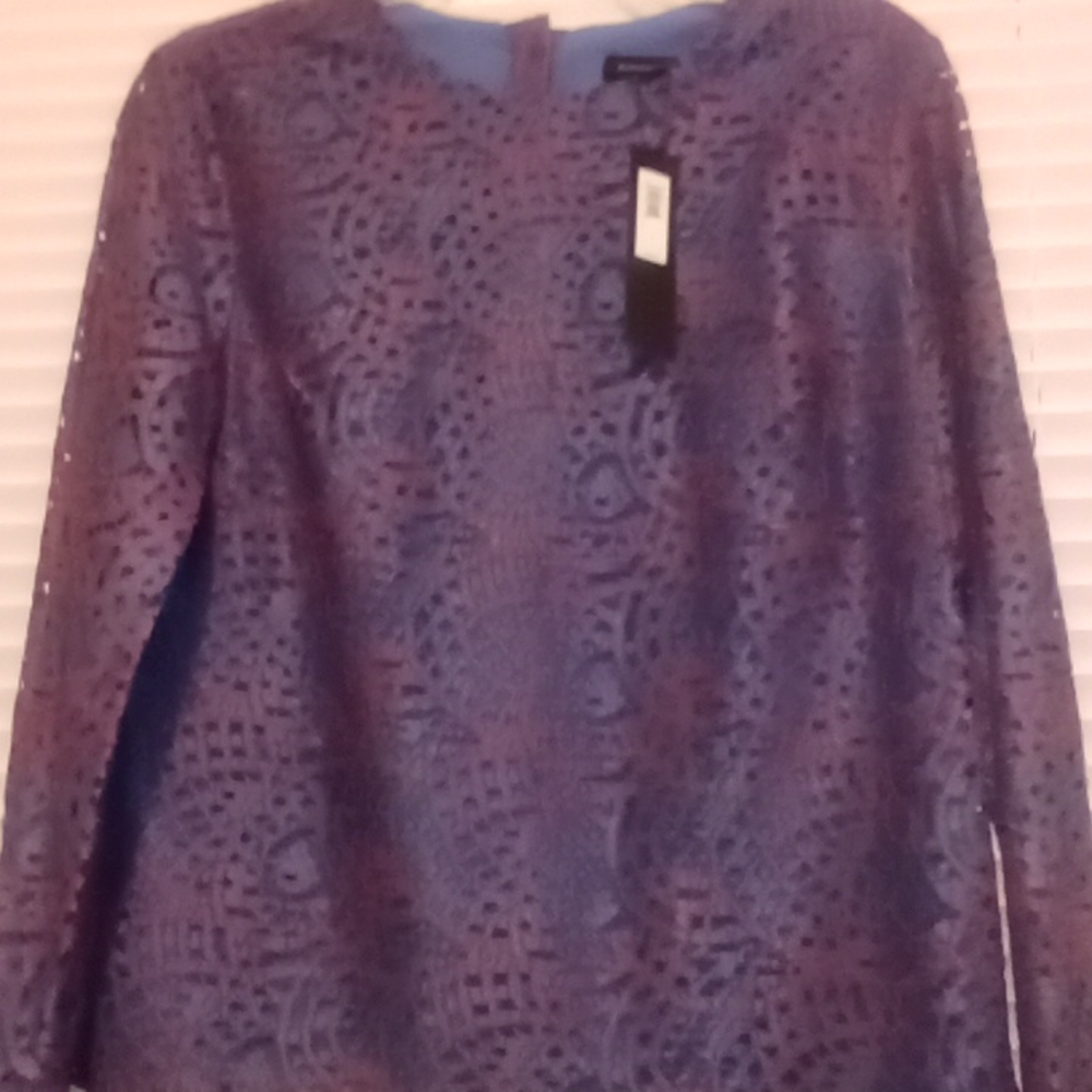 Banana Republic, Small, Blue/Red Lace Blouse.
